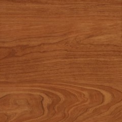 Balterio Senator Koningskers 668 Post Thumbnail